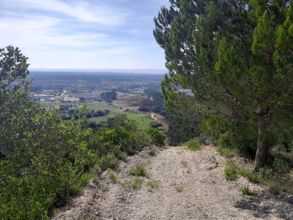 Quinta Urbano + Rústico - Vale Verde - Tremês - Santarém 19,5ha