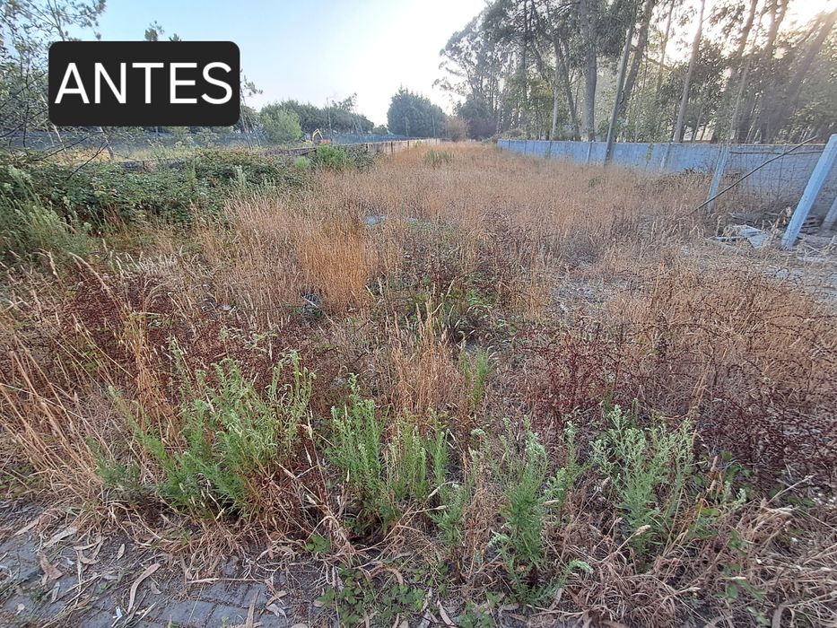 Limpeza trator e capinadeira