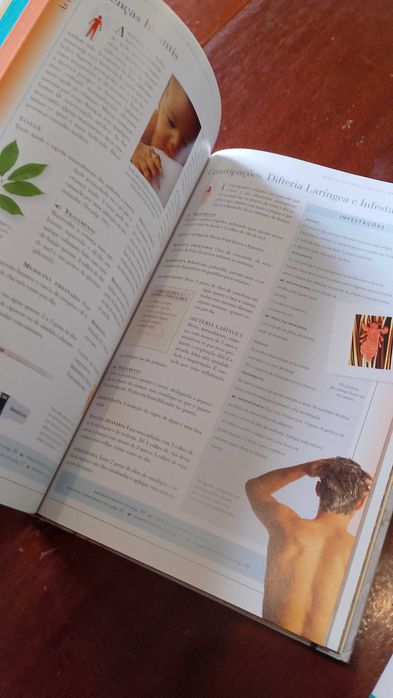 Medicinas Alternativas, Prof, Dr, Norman Shealy