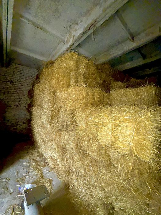 Солома ячневая и пшеничьная