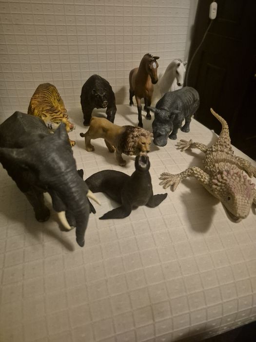 Lote de animais de muita qualidade