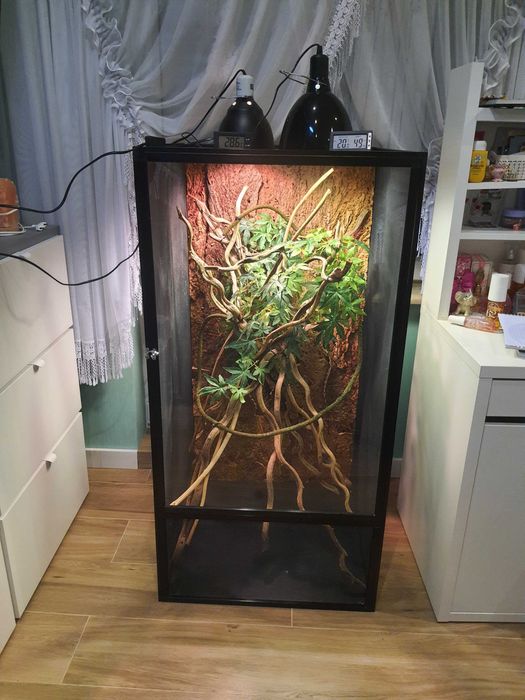 terrarium dla kameleona