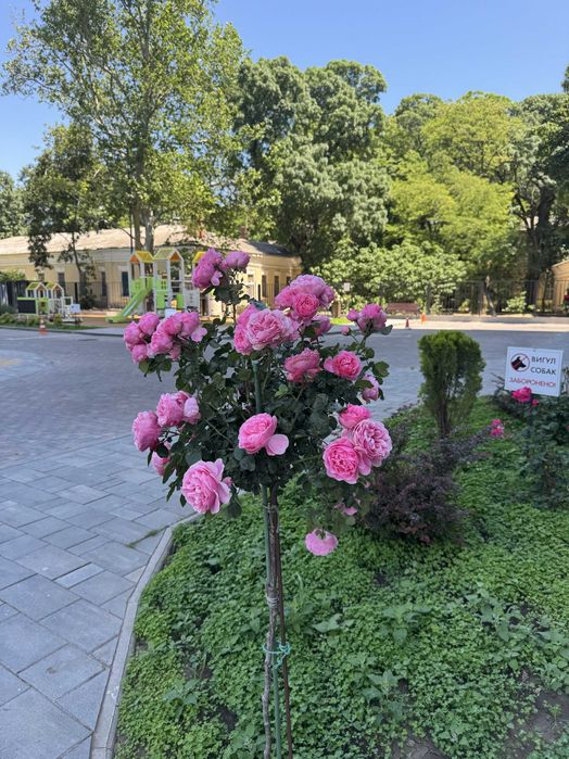 2-комнатная квартира по адресу Куликово поле пл. (площадь 68 м²) - Atlanta.ua - фото 13