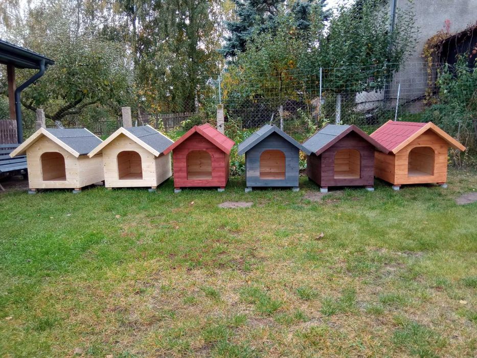 Duża nowa buda dla psa