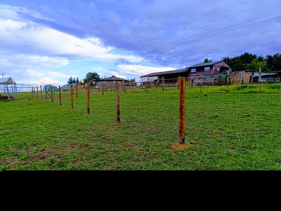 Ogrodzenie tymczasowe siatka leśna montaż