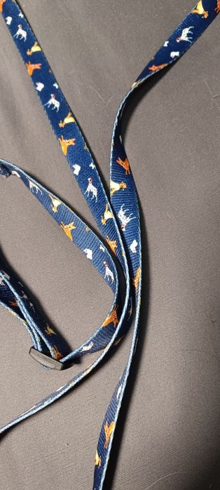 Smycz + obroża, niebieska w pieski