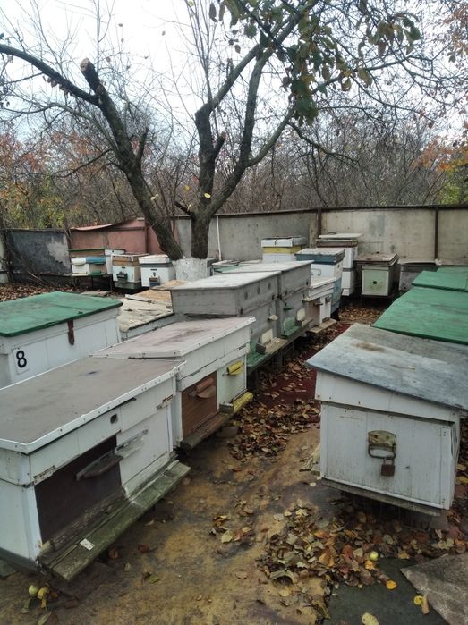 Продам павельйон и улики все для пасики бу