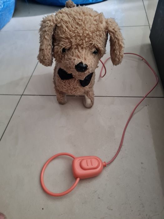 Piesem szczeka, macha ogonkiem, chodzi. Chyba PRL