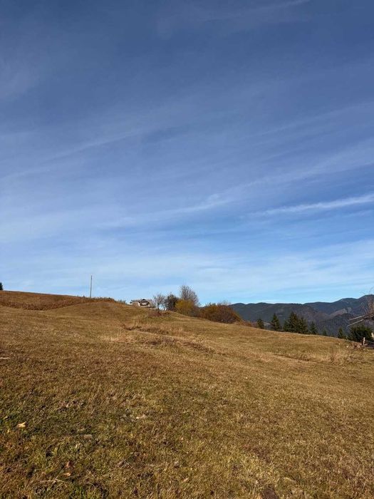 Ділянка 60 соток, Красник, панорама 360°, поділ можливий