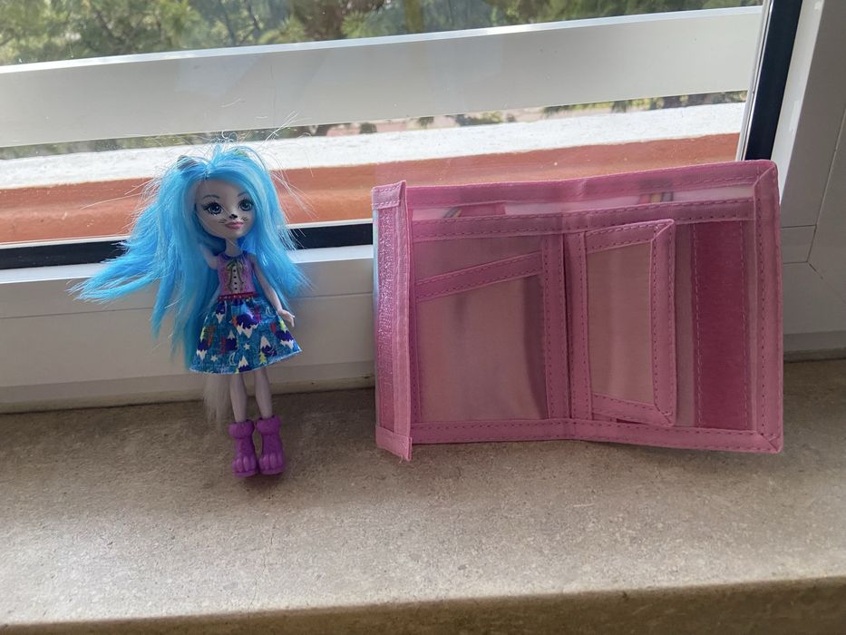 Uma carteira e uma bomeca