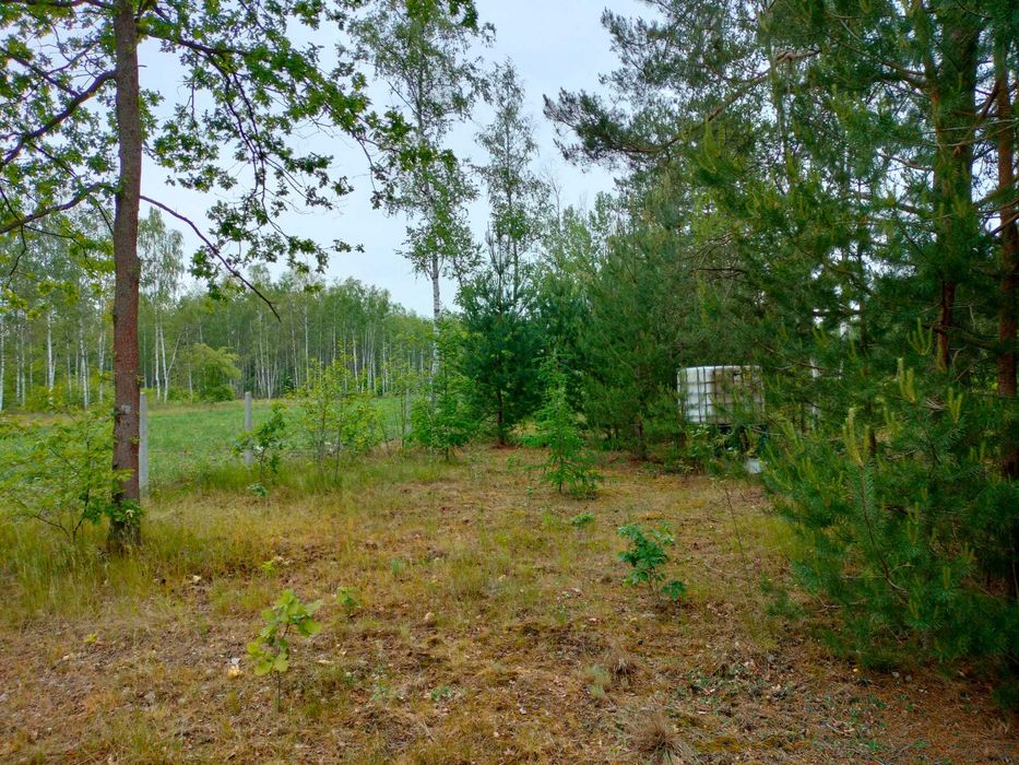 Działka 2300m2 Janów gm. Wolbórz