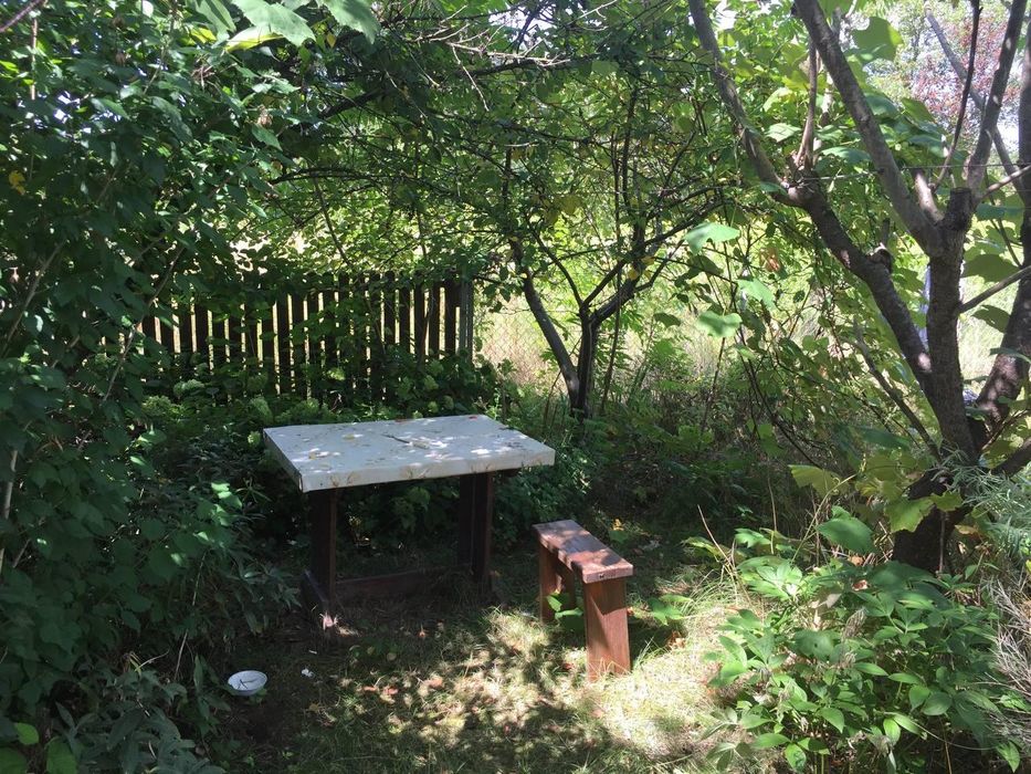 Продам діляку з будинком у Чернієві