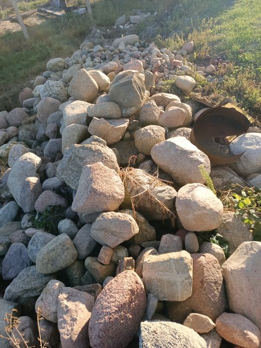 Kamień polny oddam za darmo