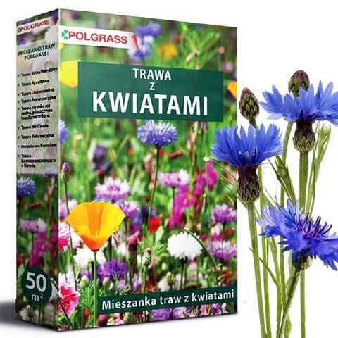 Łąka Kwiatowa Nasiona Trawa z Kwiatami Polnymi 0,9KG możliwa wysyłka