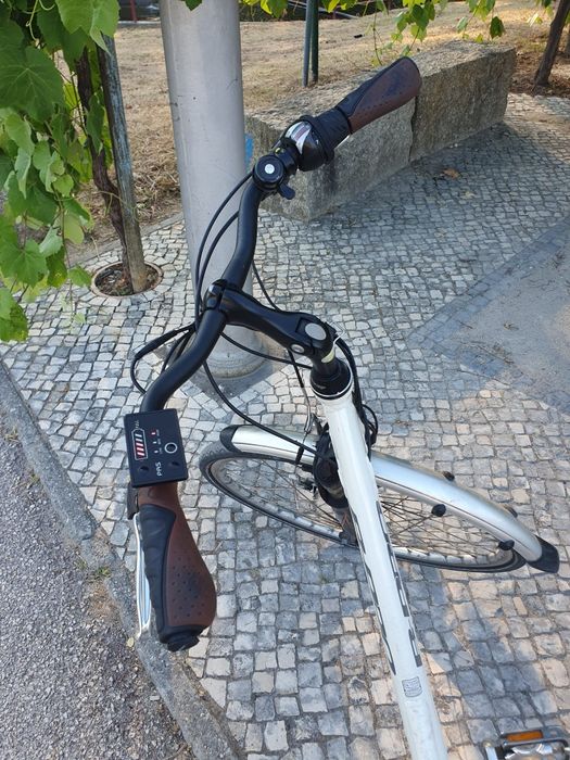 Bicicleta electrica