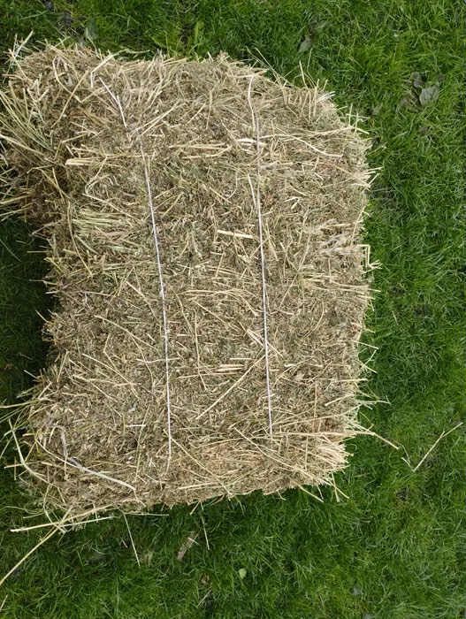 Sprzedam Lucernę kostka tegoroczna