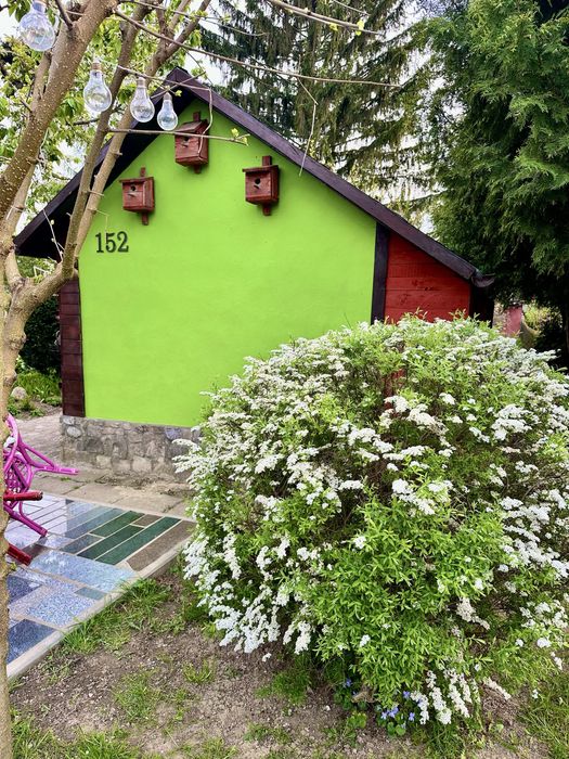 Malownicza działka ROD, duża powierzchnia.Mozliwość zakupu jednej.