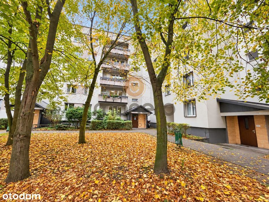 Na sprzedaż przestronne mieszkanie 62 m² – ul. Zielona 23
