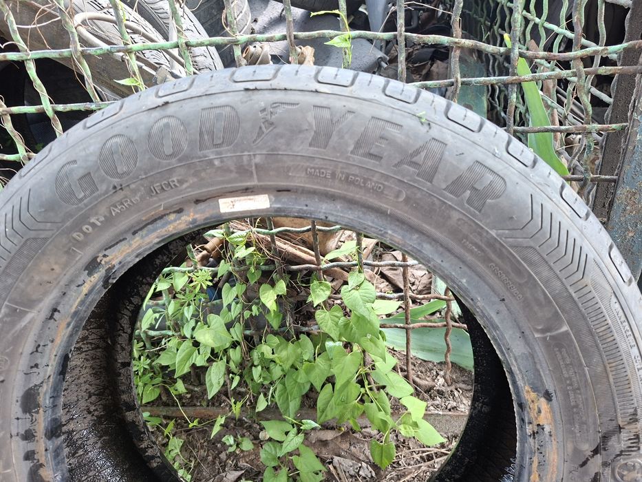 продам шины Goodyear 195/60r15 лето