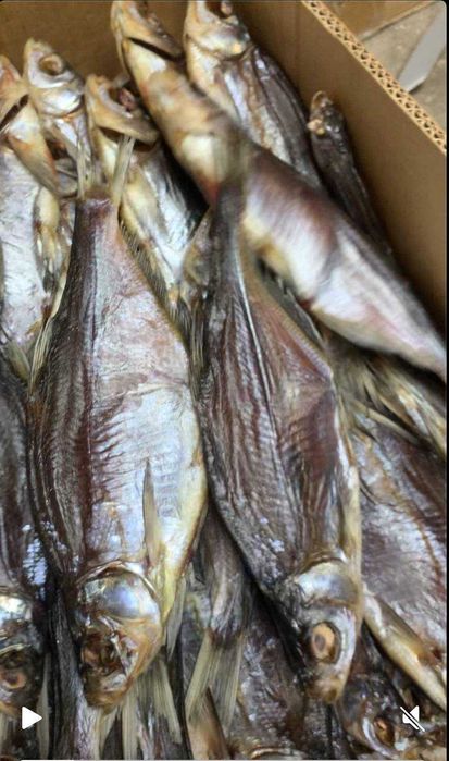 Тарань плотва з ікрою, можливий ОПТ