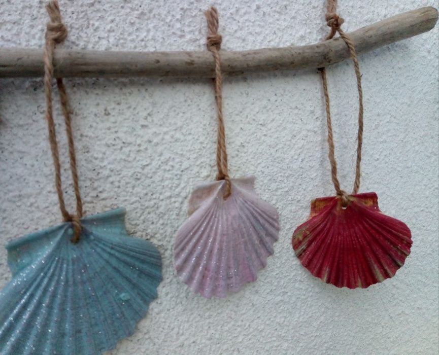 Conchas pintadas