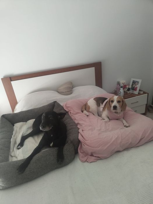Móveis para  quarto