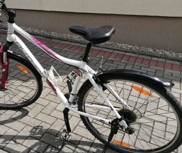 Rower Author Horizon ASL 700 damski