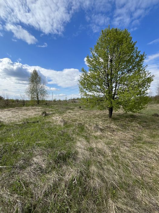 Рівна ділянка в затишному місці