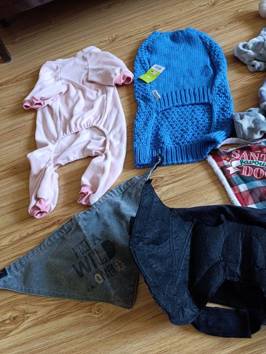 Одяг для собаки, лот