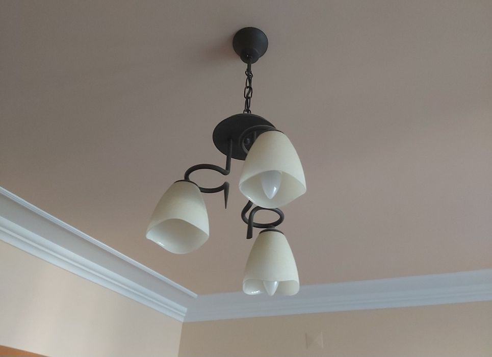 Candeeiro                       .