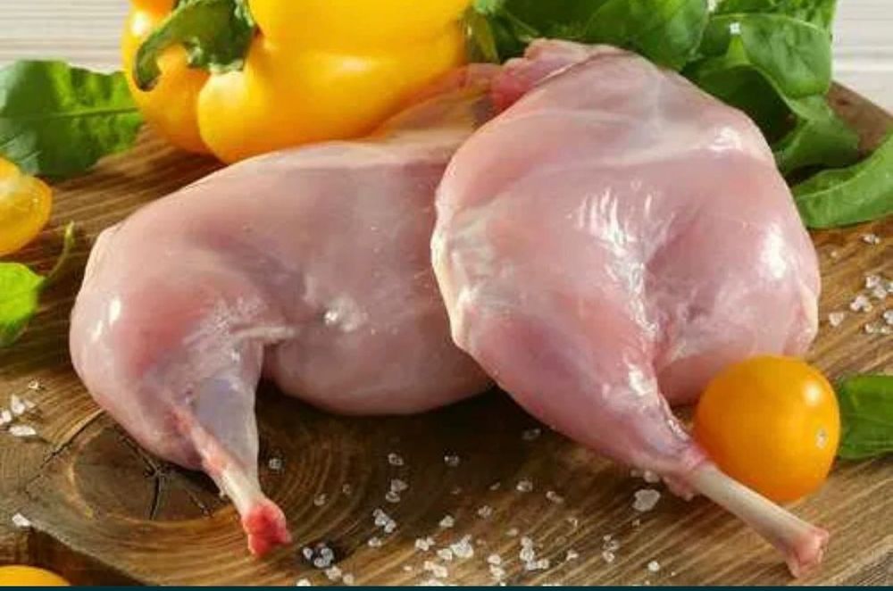 Продам кролика на забій, живих кролів і кроликів