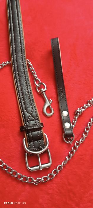 Олійник з повідком