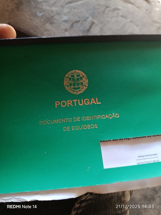 Pónei para venda e para tro