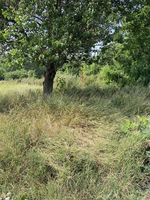 Продам 2 земельні ділянки(ціна за 2 ділянки)