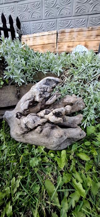 Piękny korzeń do akwarium terrarium