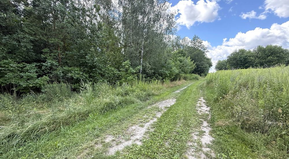 Siemień Kol., gm. Siemień – działka rolna, leśna - Więcej