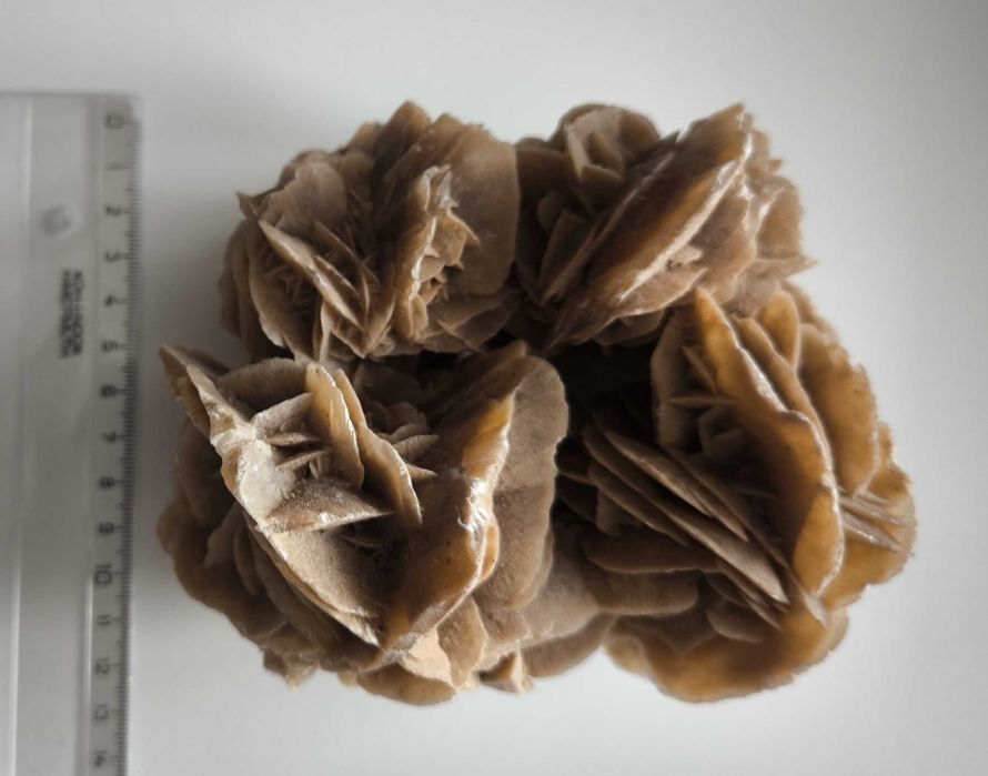 Przepiękna duża róża pustyni - minerał, ok. 1kg