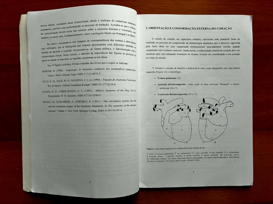 O Coração dos Mamíferos Domésticos - Plano de estudos e dissecacção
