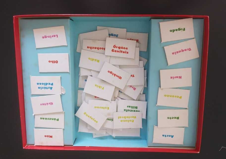 Jogo Didático “Anatomia”