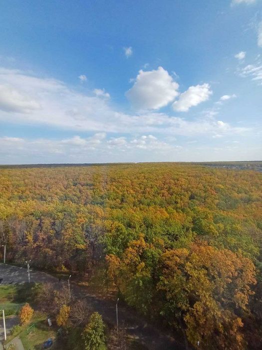 Оренда 2к у Новобудові Олексіївка