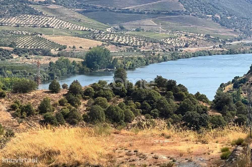 Terreno Panorâmico 11.745 m² no Douro - em Trás-os-Montes