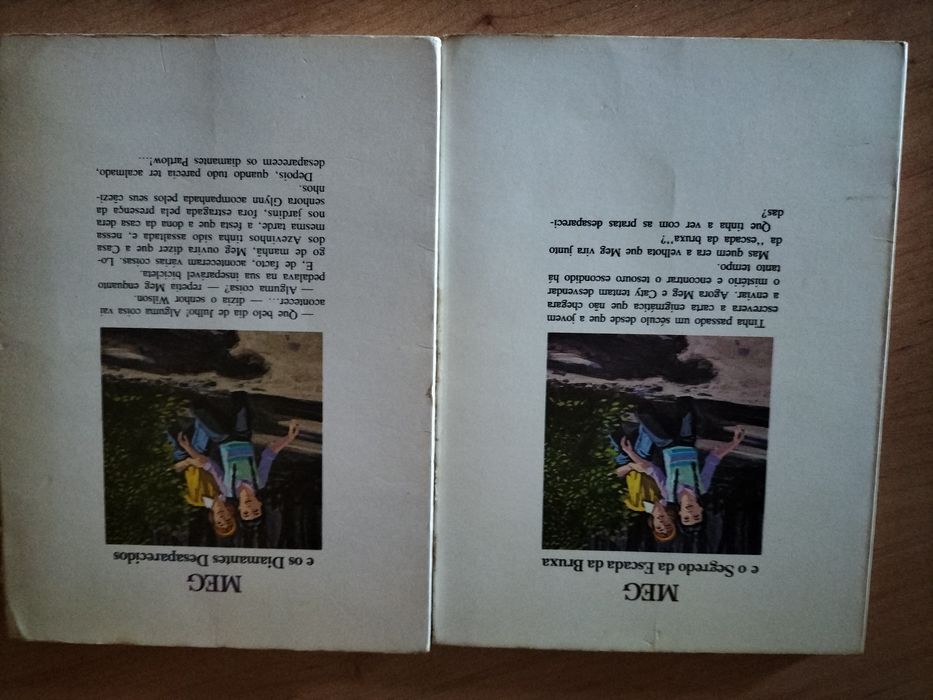 2 livros MEG, de Holy Beth Walker