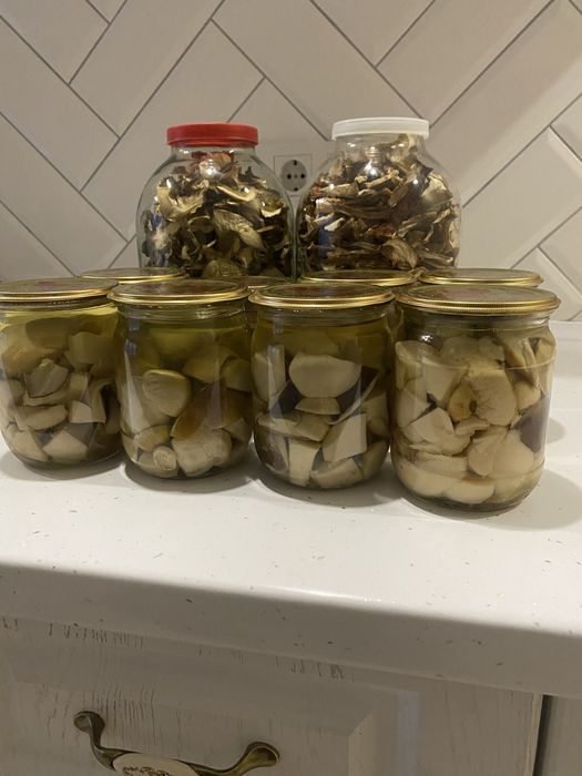 Гриби мариновані і сухі
