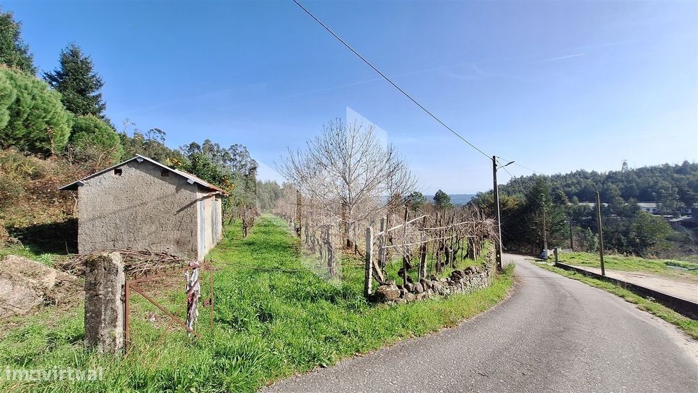 Terreno Rústico  Venda em Santiago de Besteiros,Tondela — Santiago de Besteiros, Viseu