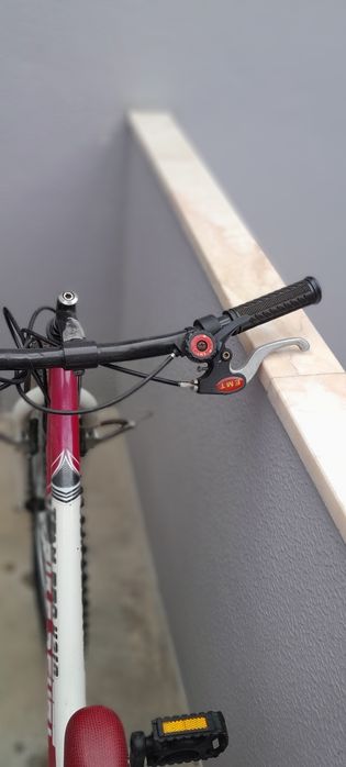 Bicicleta Team Pro 4210 Bike Sport