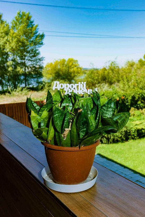 Дом по адресу ул. Заречная (площадь 260 м²) - Atlanta.ua - фото 7