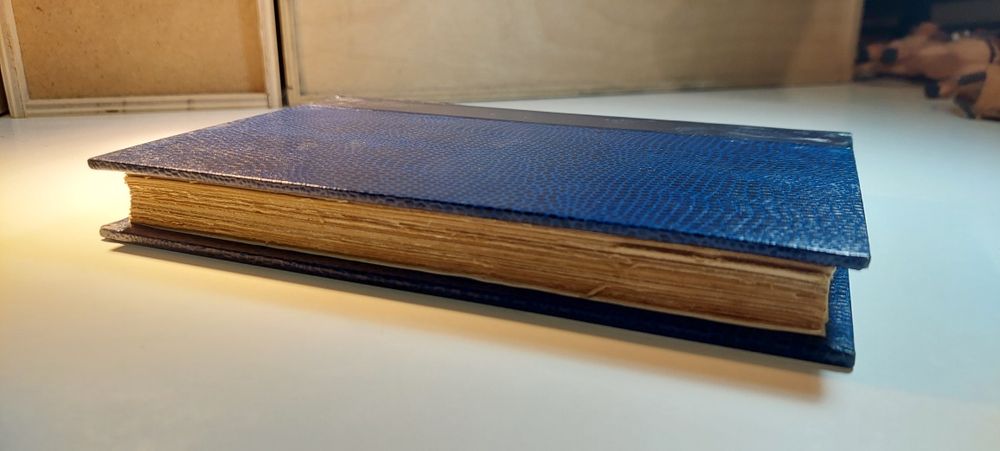 Diário de um Policia - Eduardo de Noronha