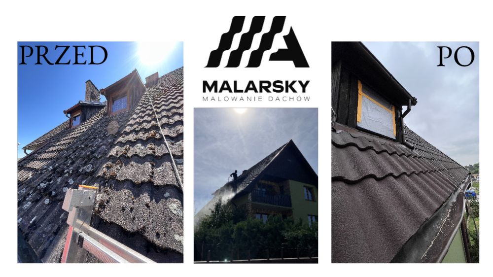 Malowanie, mycie dachów oraz ogrodzeń betonowych