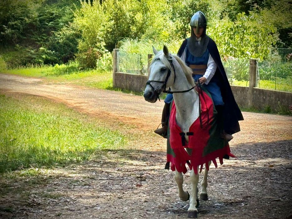 Cavalo Lusitano Cruzado
