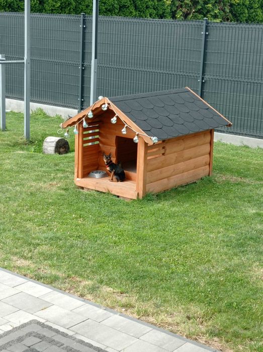 Buda dla dużego psa
